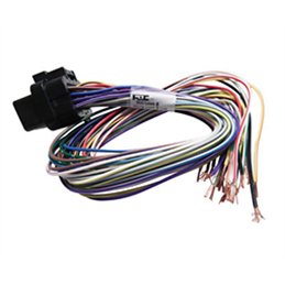 B Loom Short (0LB)