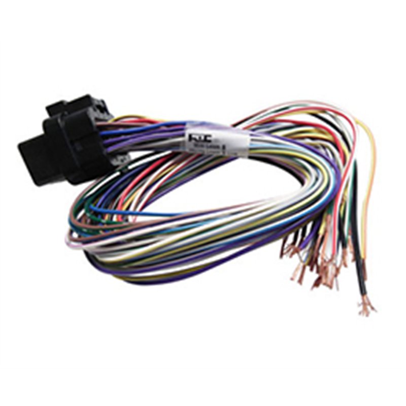 B Loom Short (0LB)