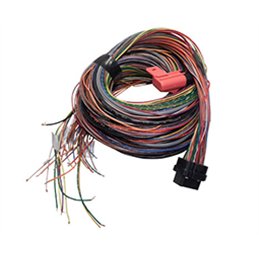 A Loom Long (5LA)