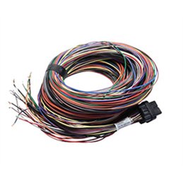 B Loom Long (5LB)
