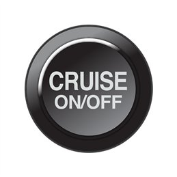 CAN Keypad Insert - Cruise On/Off