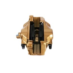 Kit Frein Arrière 2 Pistons BREMBO 316mm Or